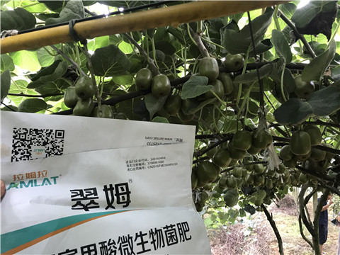 微生物菌劑，平衡顆粒復(fù)合肥，翠姆，拉姆拉